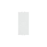Anchor Roma Classic Modular False Blank Plate 1M White 21598